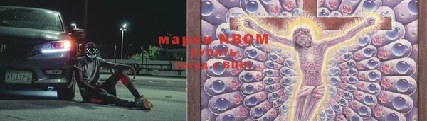 гашик Арсеньев