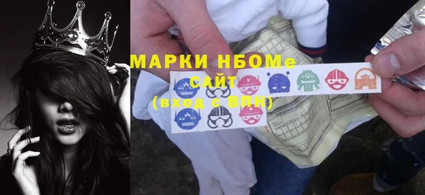 прущие грибы Няндома