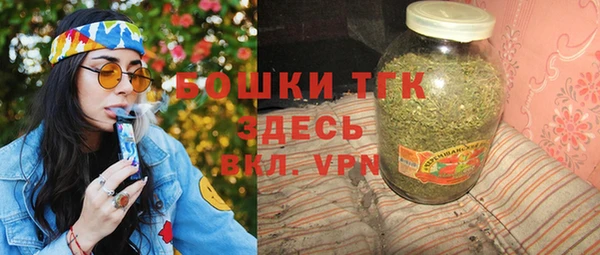 гашик Арсеньев