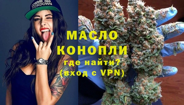 гашик Арсеньев