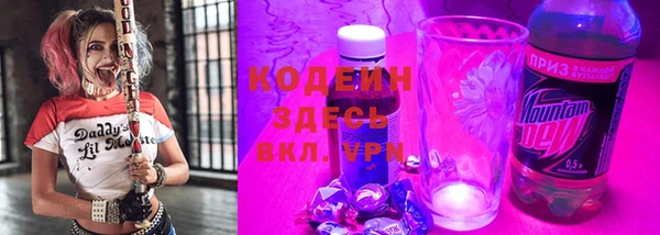 прущие грибы Няндома
