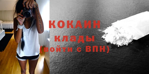 гашик Арсеньев