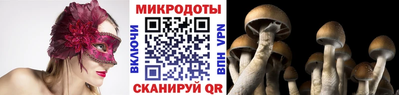 Галлюциногенные грибы Cubensis MEGA онион Полярные Зори